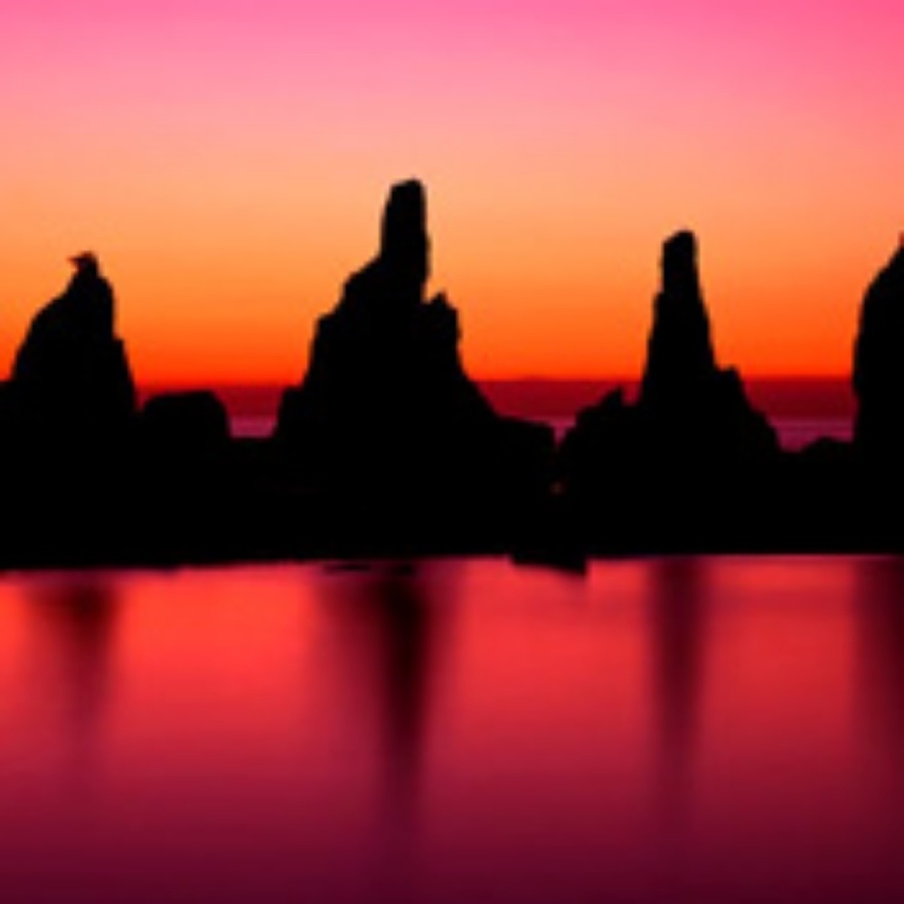 Meet your Posher, Dee